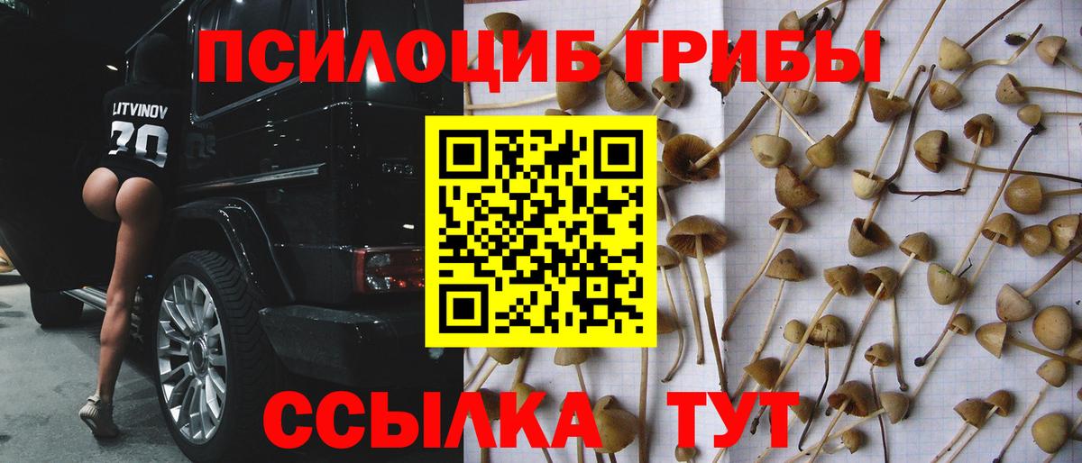 Псилоцибиновые грибы мухоморы Ковров
