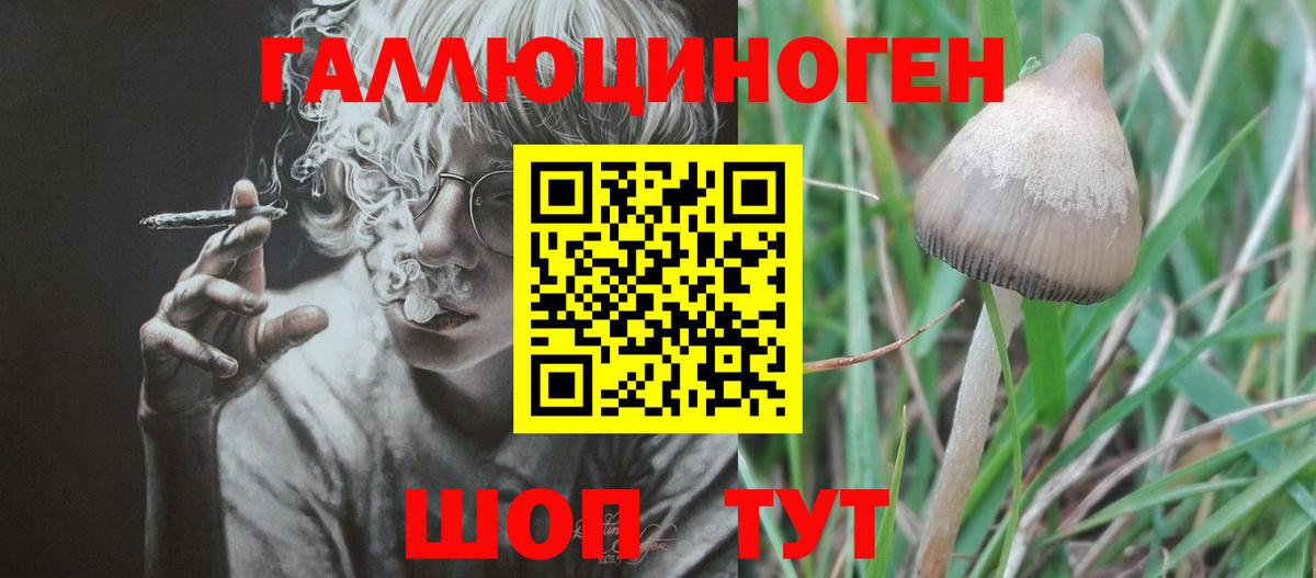 Галлюциногенные грибы MAGIC MUSHROOMS  Вход с VPN  Ковров  Галлюциногенные грибы прущие грибы 